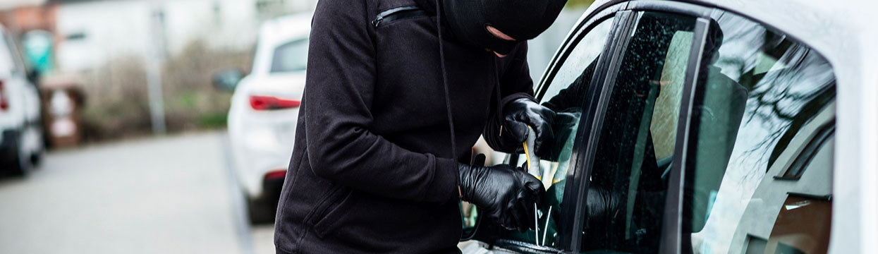 Stolen vehicle