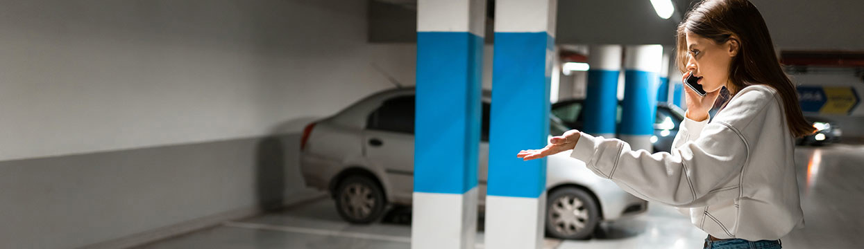 Le vol auto