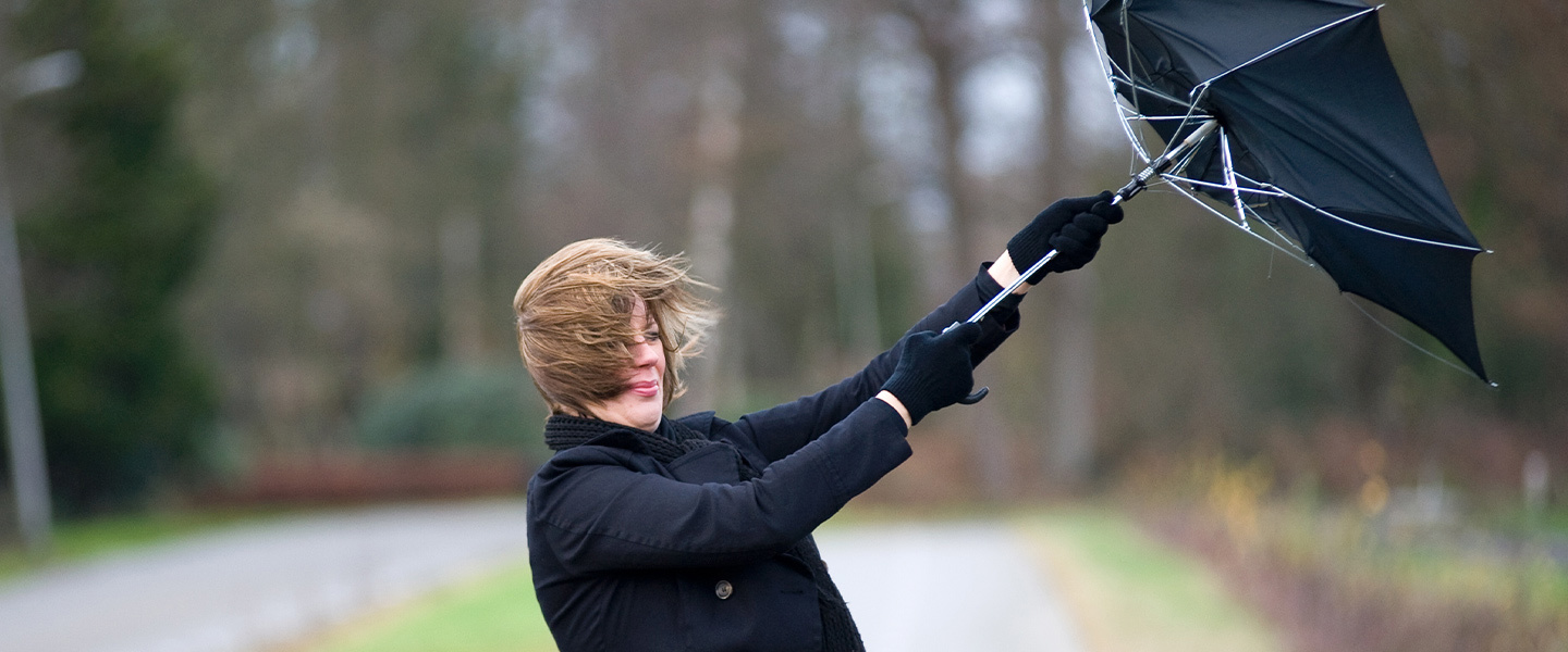 Tout sur les vents violents et l'assurance