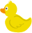 Canard