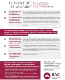 Les feux de forêt et l'assurance