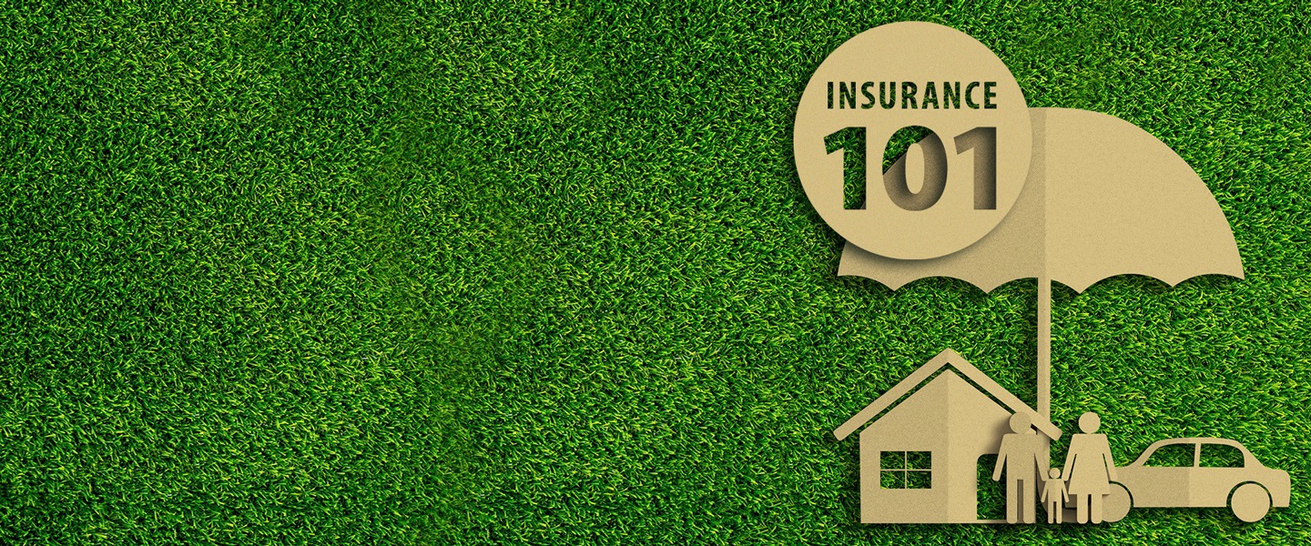 The basic principles of insurance
